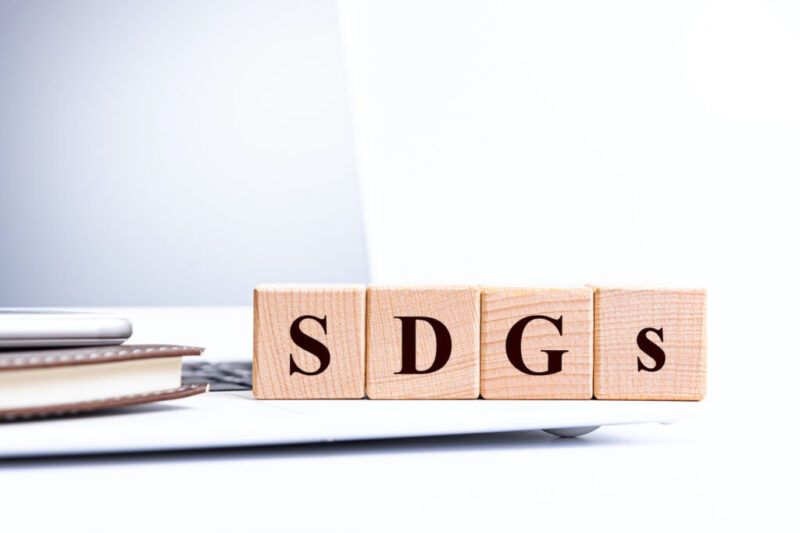 【家づくりでできるSDGs】竹を活用した家具「TEORI」のご紹介