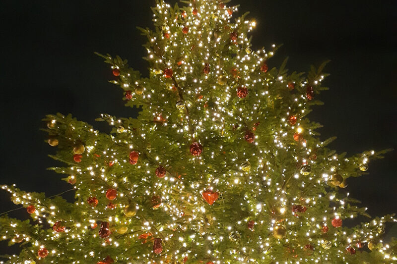 12月7日はクリスマスツリーの日