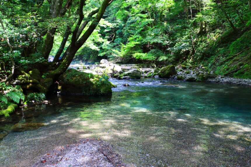 【お出かけ情報】梅雨明けに行きたい！涼を求めて群馬の安心・安全な川遊びスポット5選