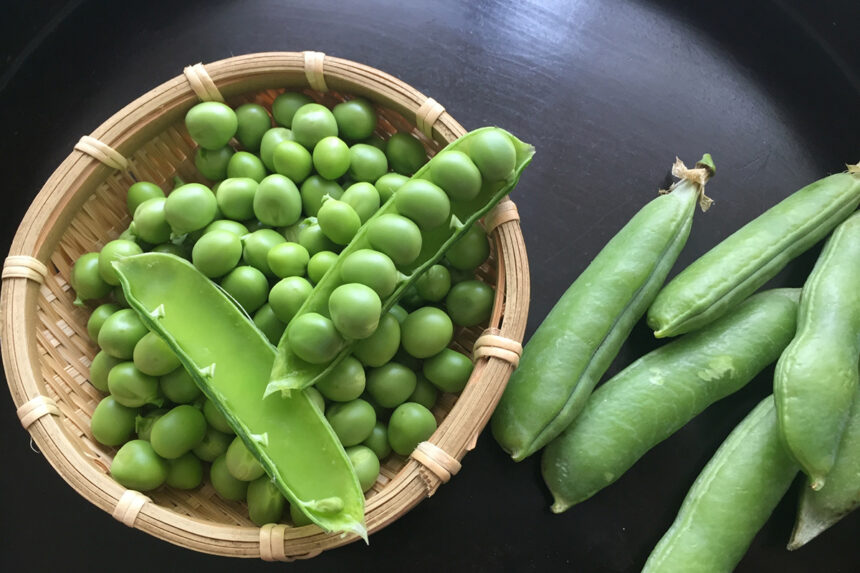 10月13日は豆の日